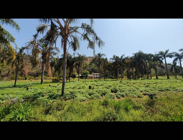 16HA FARM SOLD IN NELSPRUIT RURAL